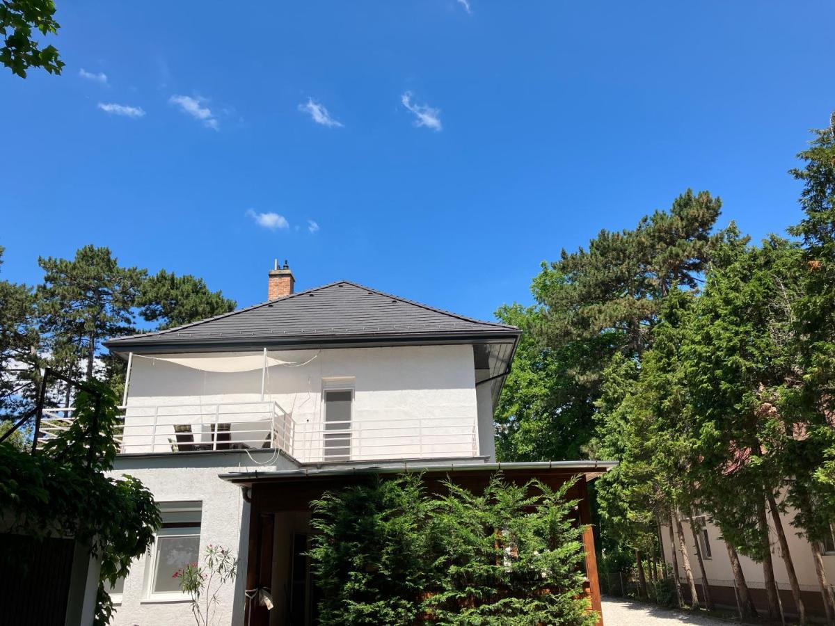 Honved N3. Apartman Balatonlelle Exteriér fotografie